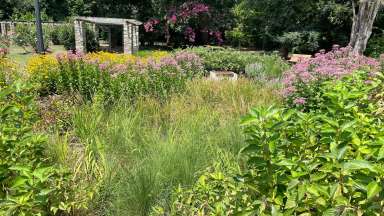 Rose Garden Bioretention Area